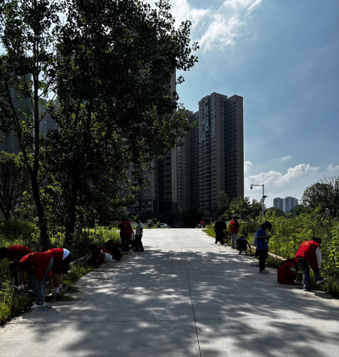 电气工程学院学工党支部成功开展 “践行劳动奉献，筑牢信仰根基” 主题党日活动